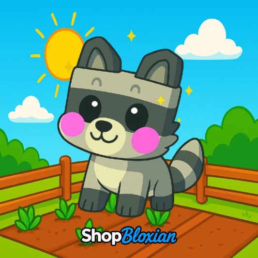 Racoon
